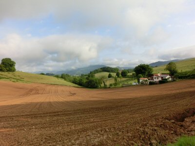 f0019247_1293616.jpg