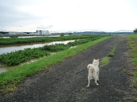 b0238249_10545113.jpg