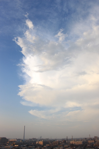e0028650_9355740.jpg