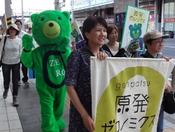 【報告】原発ゼロノミクス・キャンペーンin 東海-(2)_f0197754_2002273.jpg