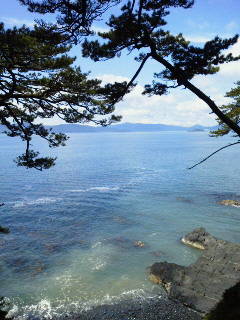f0030155_105496.jpg