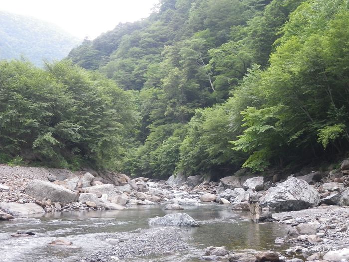 e0212759_21552399.jpg