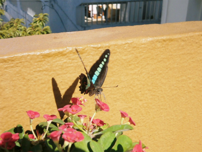 c0180460_23172594.jpg