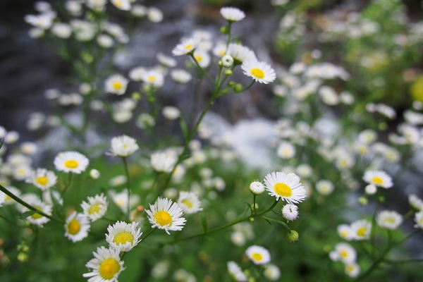 c0237264_1656125.jpg