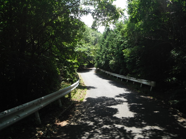 和泉葛城山:もう一方の葛城山　牛滝から犬鳴側へ_c0066176_5424189.jpg