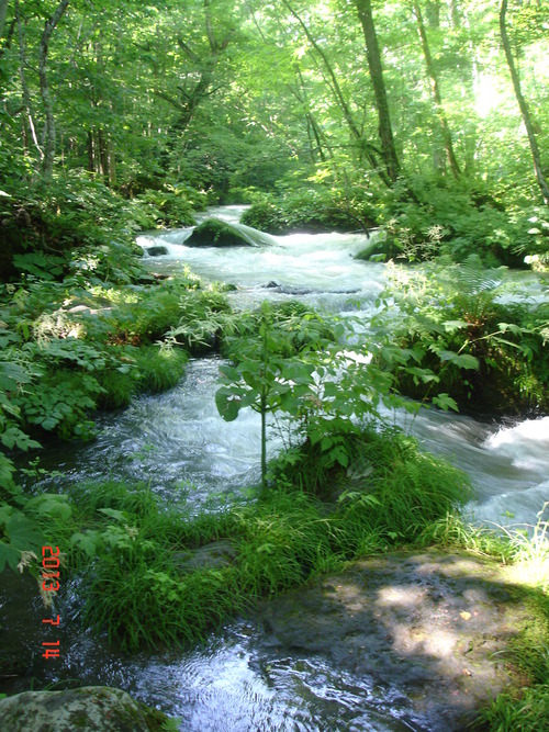 d0165378_12115753.jpg