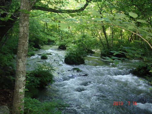 d0165378_1264919.jpg