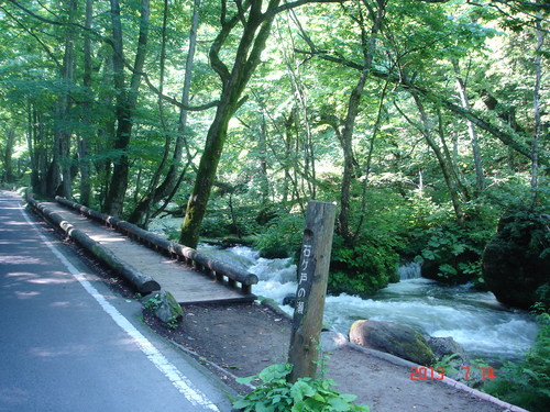 d0165378_1272910.jpg