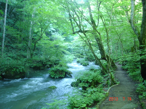 d0165378_1275411.jpg