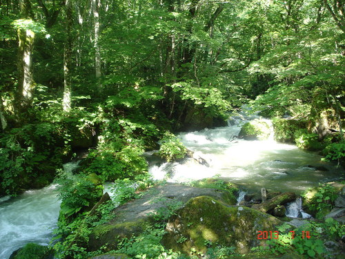 d0165378_1281334.jpg