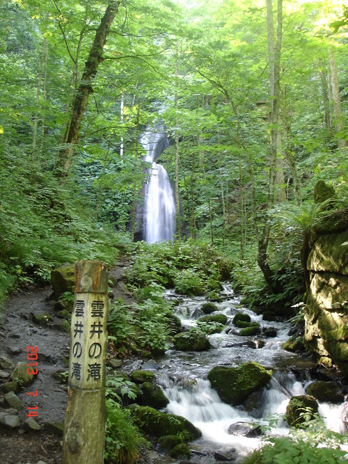 d0165378_1285945.jpg