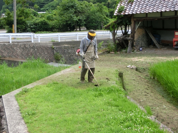 マモさんはなんでも屋さん？？_a0199979_17304082.jpg