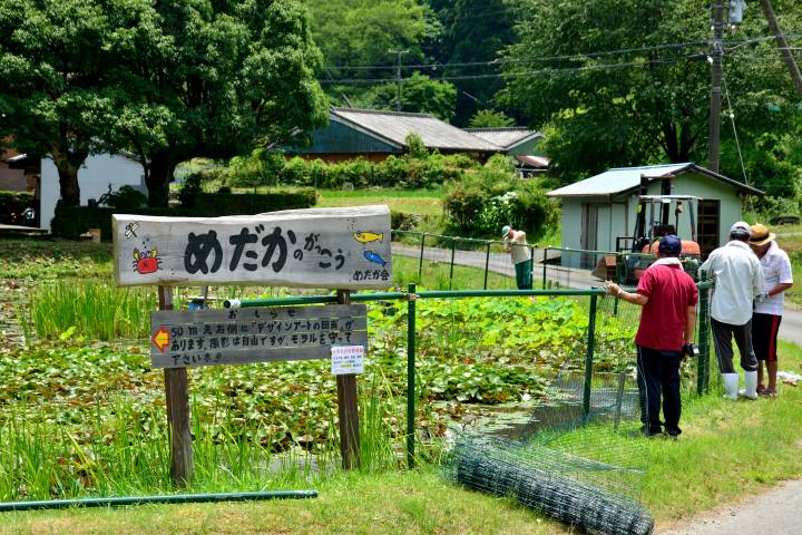 熊野の旅　めだかの学校　飛鳥町小又_d0045383_9162641.jpg