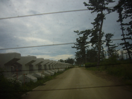 a0141884_11352516.jpg