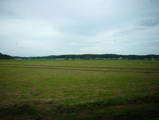 a0141884_11481687.jpg