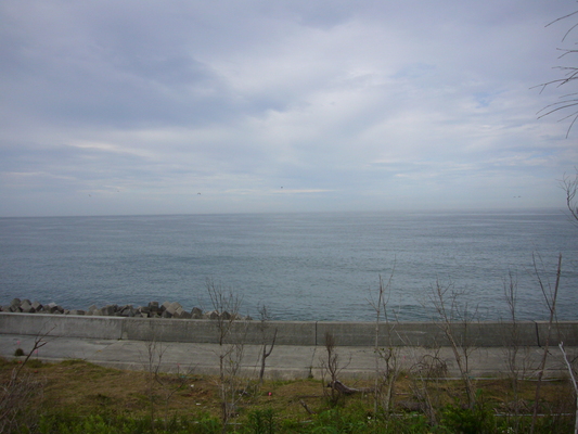 a0141884_1149845.jpg
