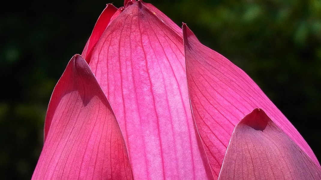 a0152692_2084662.jpg