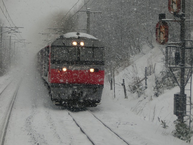 d0181492_8454795.jpg