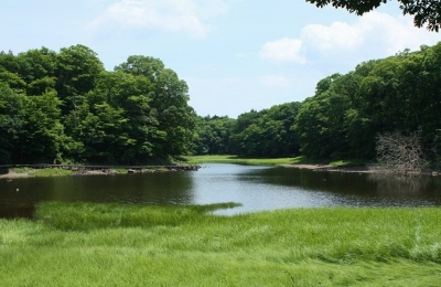 d0004393_4291511.jpg