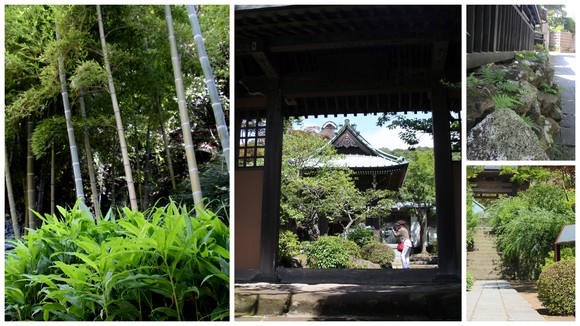 7月の鎌倉から「海蔵寺」_d0025894_049272.jpg