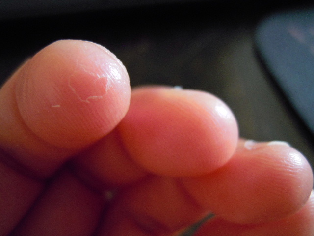 c0114797_08178.jpg