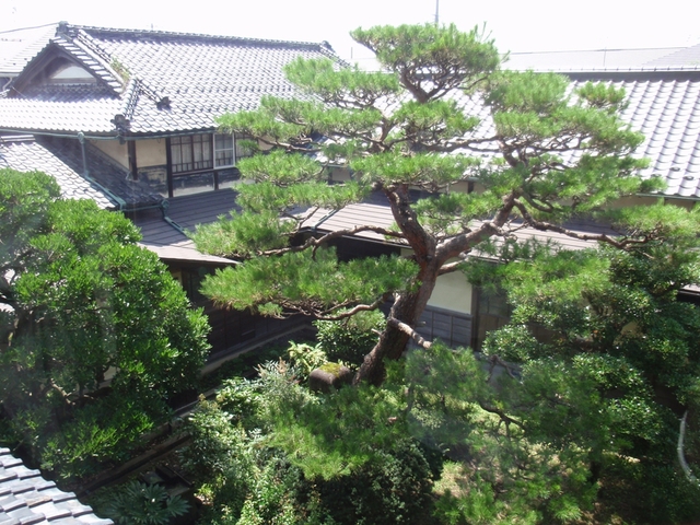 d0069498_21104591.jpg