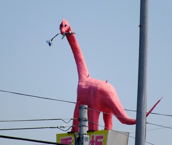 ピンクの恐竜 千葉県柏周辺で卓球サークルしてる人の手賀沼日記