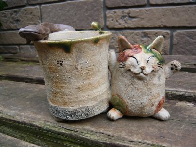 猫ちいサンショウオ植木鉢。アクアトトで販売か？_c0024502_6591369.jpg