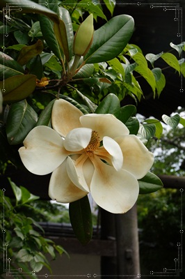 f0253903_21514989.jpg