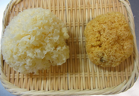 塩麴de香港のスープ『清補涼』 _c0216405_21435194.gif