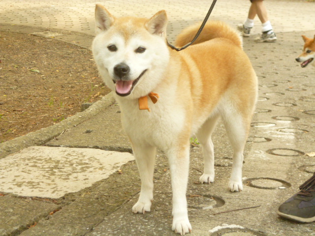 e0131506_13101516.jpg