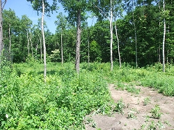 c0173813_2114193.jpg