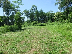 c0173813_212347.jpg