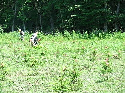 c0173813_2124173.jpg