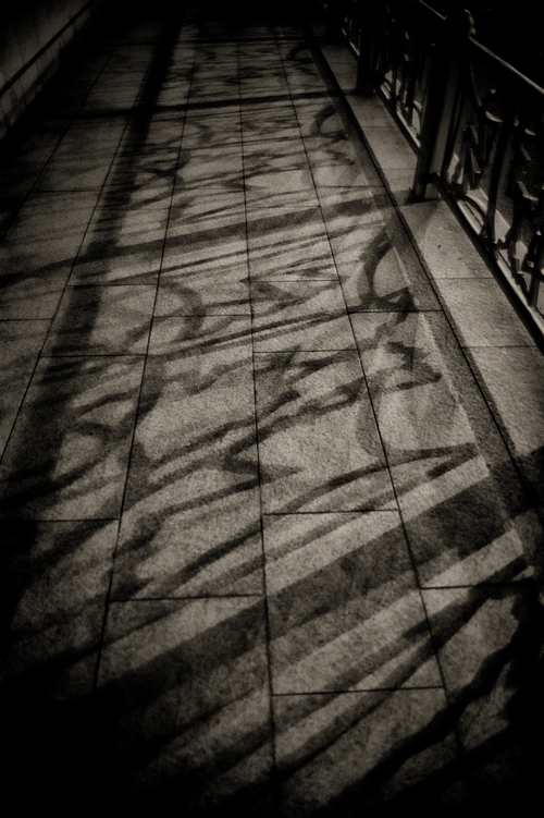 Shadows 2_a0269514_2018486.jpg