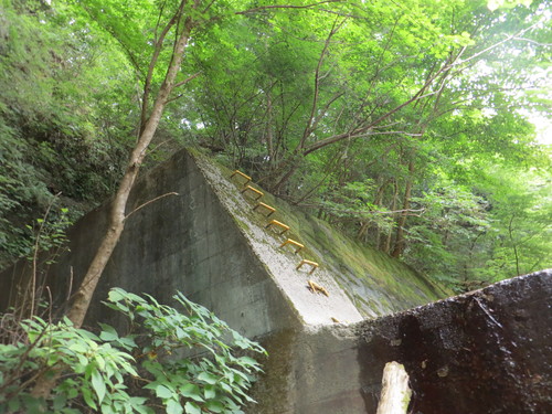 b0121015_15331390.jpg