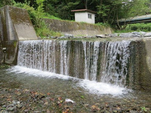 b0121015_15343030.jpg