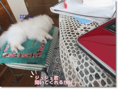 b0167519_21382047.gif