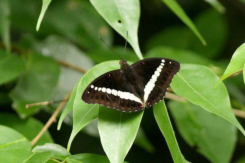 d0090322_242110.jpg