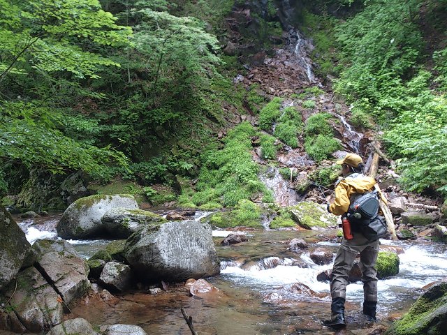 d0269923_20352210.jpg