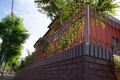 f0170524_22321335.jpg
