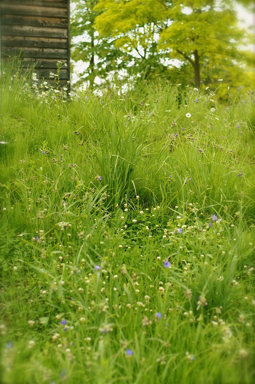e0044929_92117.jpg