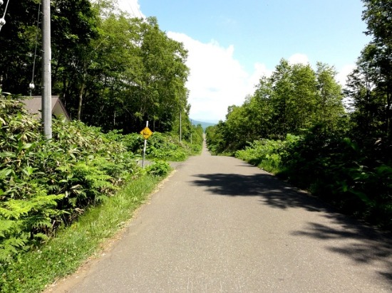 d0235336_2057350.jpg