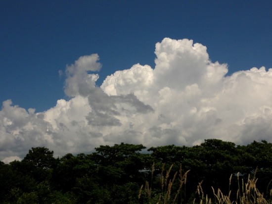 d0235336_20574681.jpg