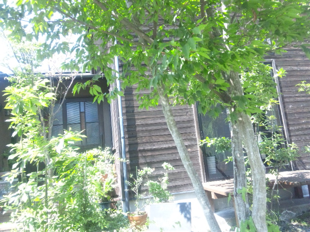d0244839_20413171.jpg