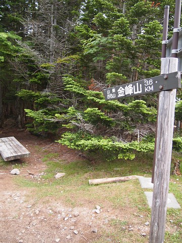 夏山登山【金峰山】_b0141240_17214719.jpg