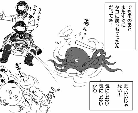7月14日(日)【阪神-DeNA】(甲子園)◯8ー4_f0105741_14491011.jpg