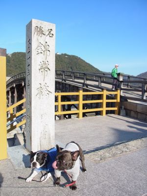 念願の角島　〜山口・広島の旅〜_e0126046_2022814.jpg