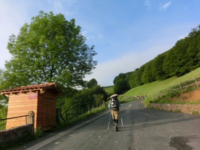ピレネー山脈を越える 2日目(1)_f0019247_15223027.jpg