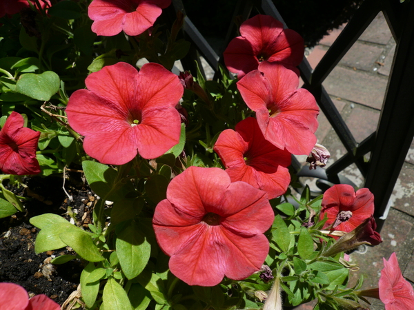 c0043055_13541339.jpg